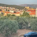 The Frog Nyaraló