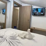 The Frog