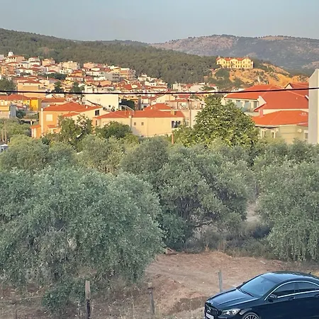 The Frog Tatil Evi