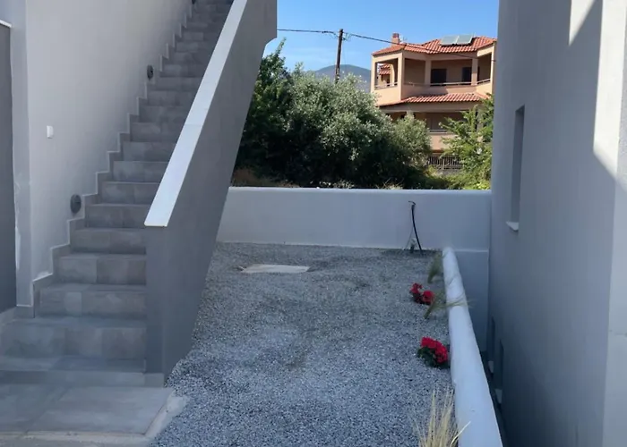 The Frog Vakantiehuis